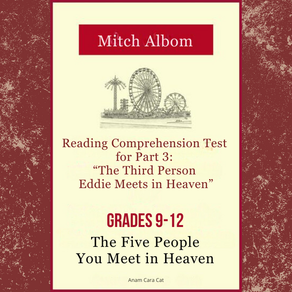 The Five People You Meet in Heaven Test Reading Comprehension Chapter Three | Free Unit Resource