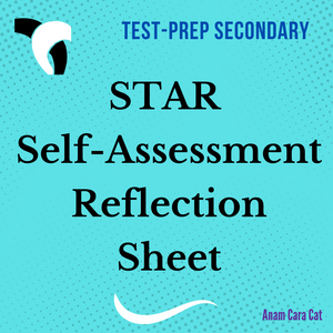 STAR Self-Assessment Reflection Sheet: FREE Download