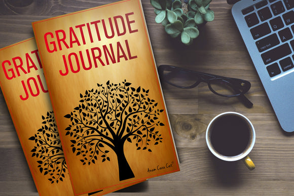 Gratitude Journal and Lesson Plans: Secondary FREE
