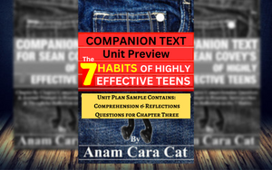 FREE Unit Preview & Sample Resource From The 7 Habits of Highly Effective Teens 14 Week Unit Plan: Comprehension Questions for Chapter Three